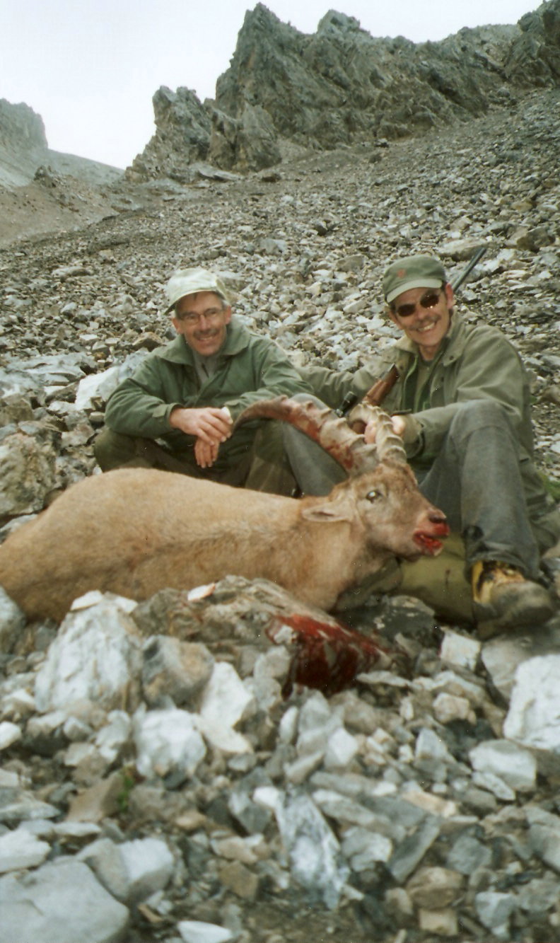 Kapitaler 6 1/2 jhriger Steinbock erlegt mit der Gian-Marchet Fabriksmunition...