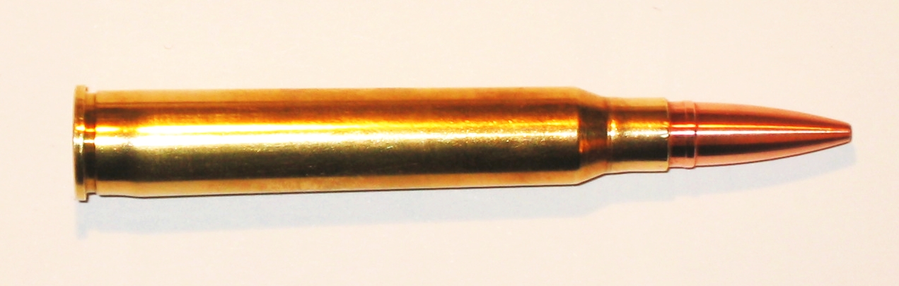 .308 Winchester mit Gian-Marchet-Geschoss "Jenatsch