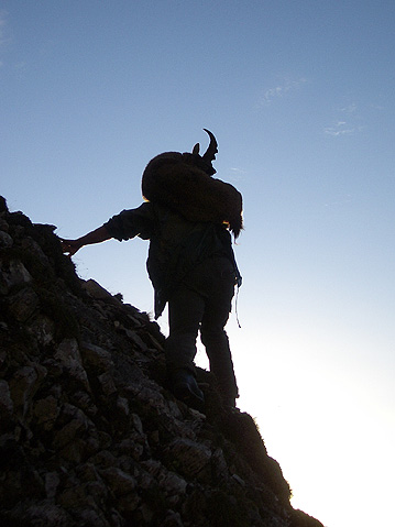 Fantastische Steinwildjagd in Graubnden - mit der Gian-Marchet Patrone im Kaliber 10,3x60R...