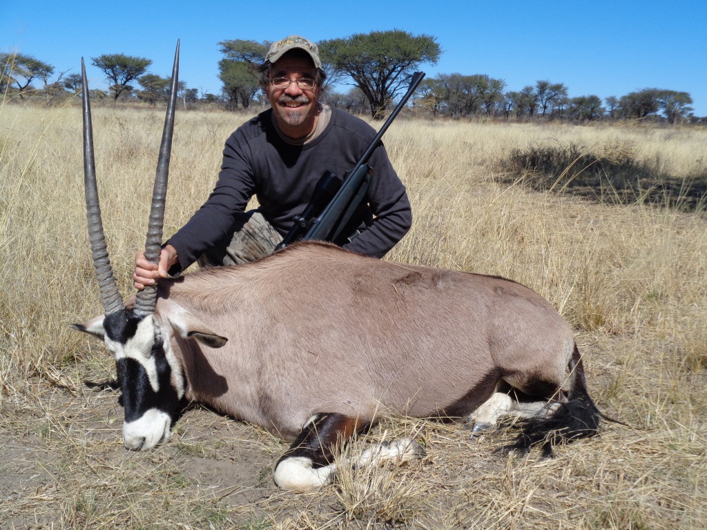 Ein Jährlings-Oryx Bulle
