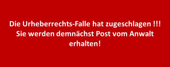 Schwarze Sau auf rotem Schnee, sauber erlegt mit Gian-Marchet Patrone im Kaliber 9,3x62...